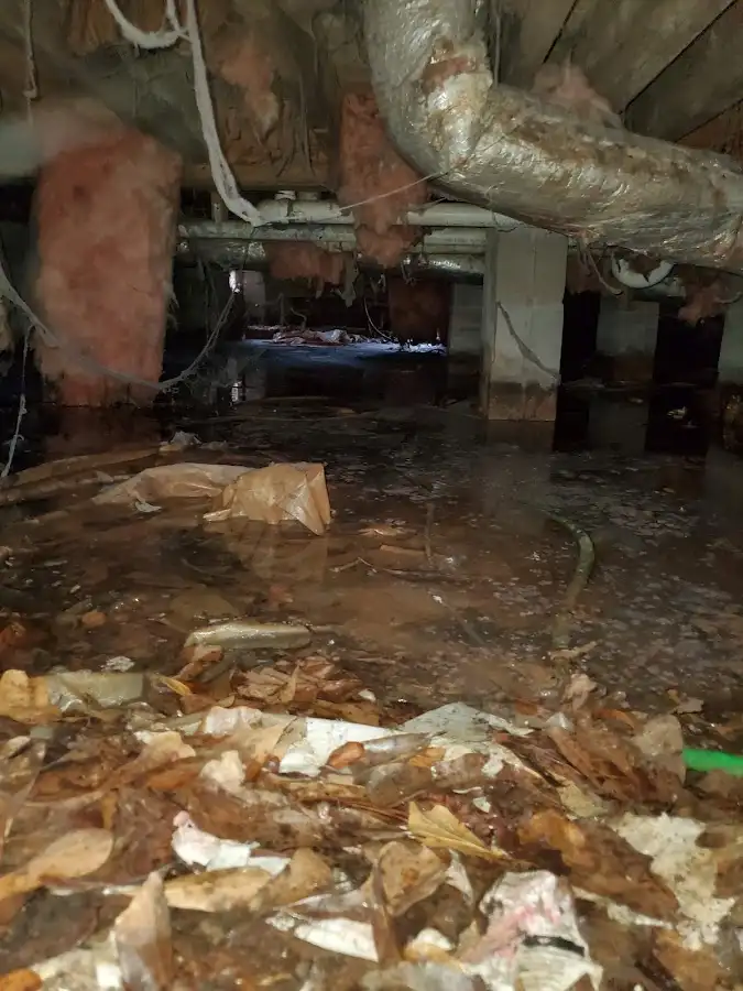 Crawl space flood assessment for Leak Detection & Repair in Grafton